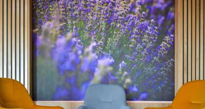 Mercure Medias Binderbubi Hotel And Spa