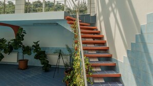 Una escalera con techo de cristal que conduce a un nivel superior con plantas en macetas y un trípode.