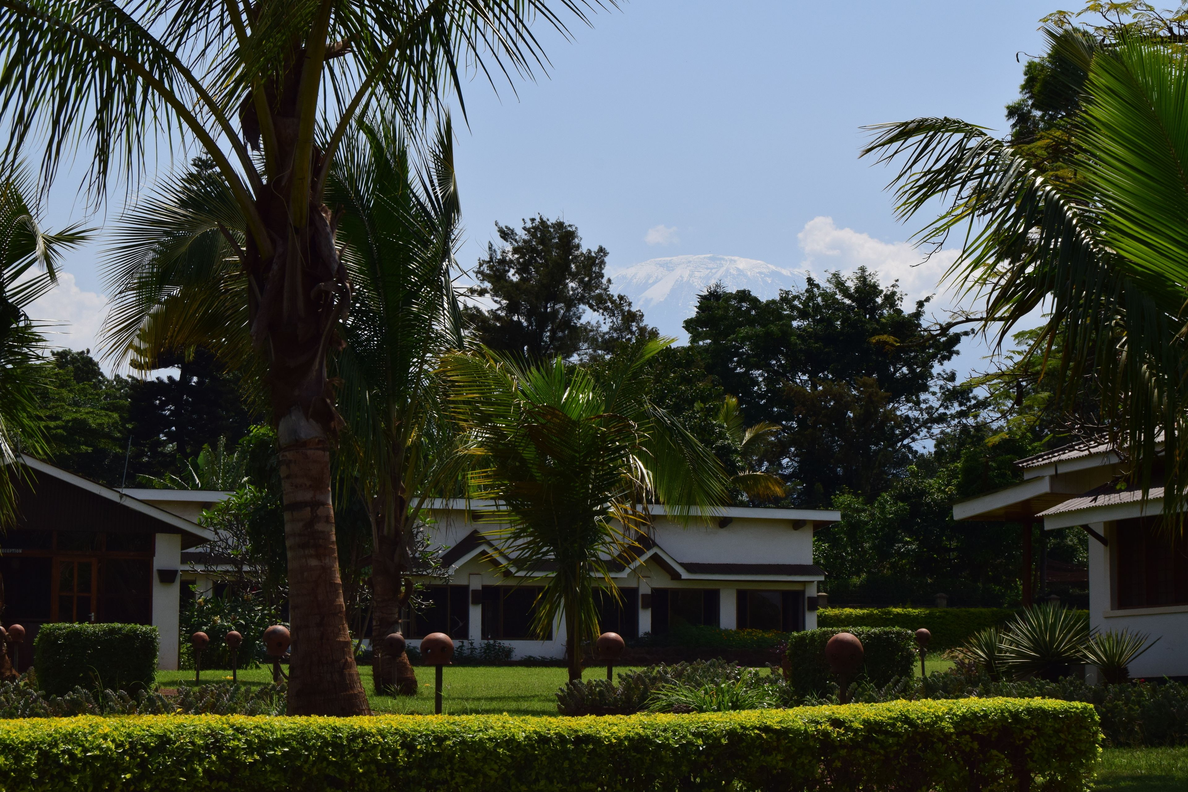 A resort with multiple bungalow-style buildings, surrounded by well-maintained gardens and palm trees.
