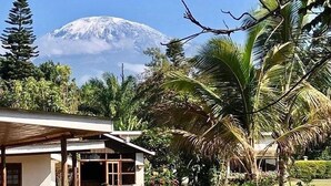A house with a patio, surrounded by tropical vegetation and a mountain in the background. - Ameg Lodge Kilimanjaro (Moshi)