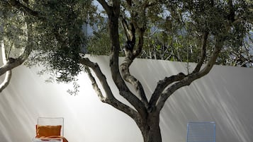 Terrasse/gårdhave
