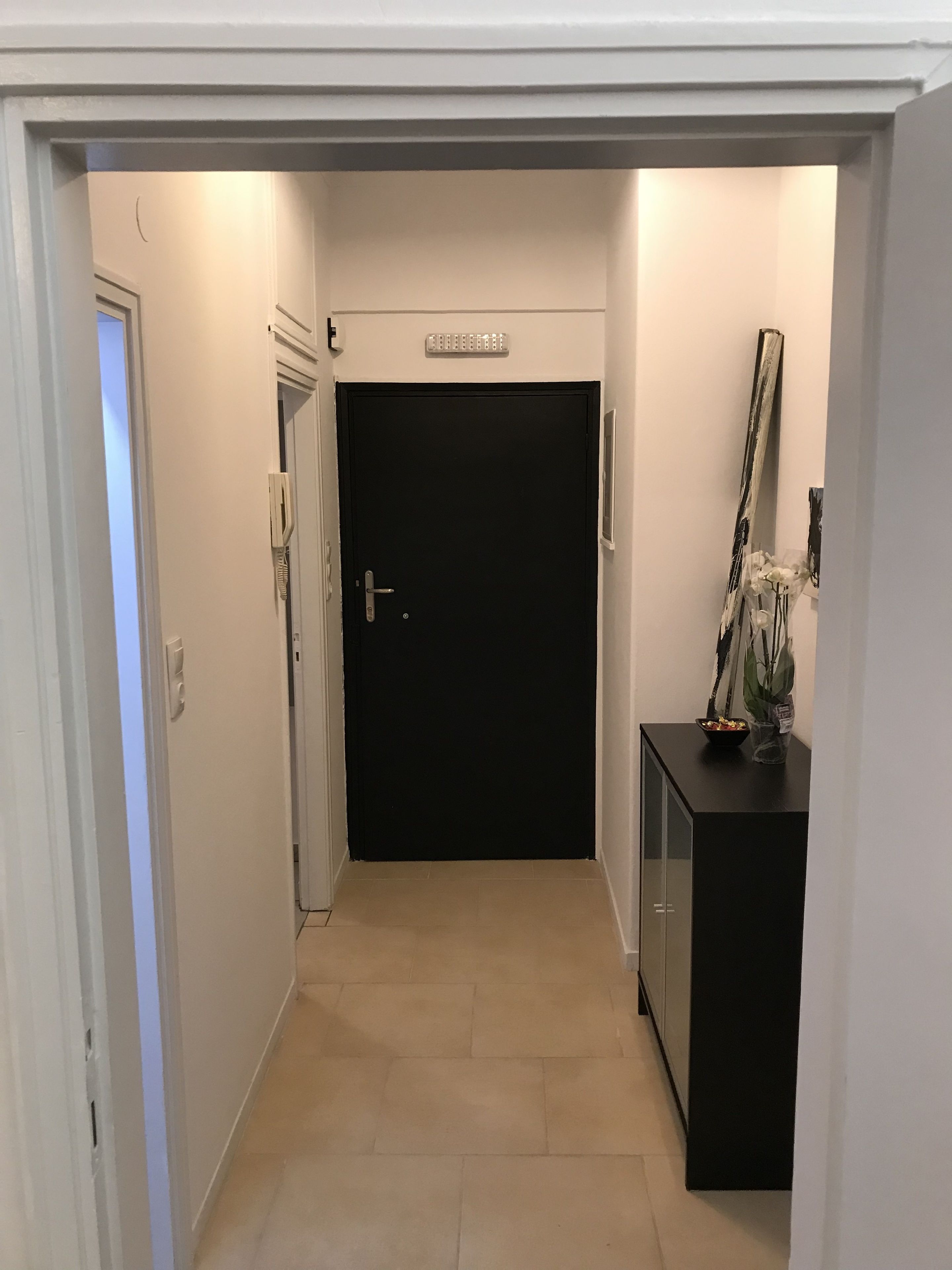 Un pasillo con una puerta negra, una pared blanca y un mueble negro con un jarrón y una planta encima.