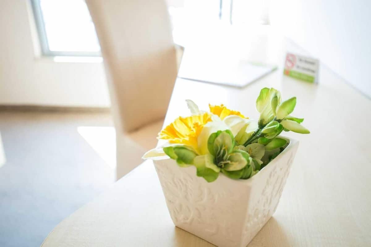 Desk, blackout drapes, soundproofing, iron/ironing board