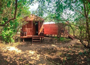 Standard Cabin | Garden view - Silver Fig Guest House (Pretoria)