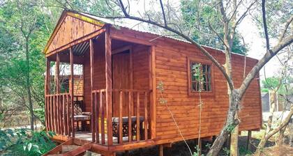 Silver Fig Guest House