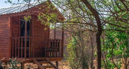 Silver Fig Guest House