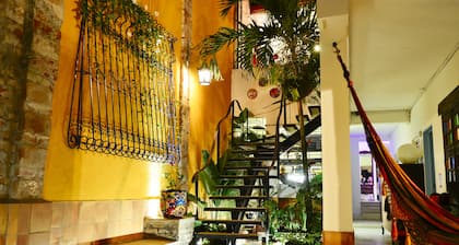 Magic Garden House