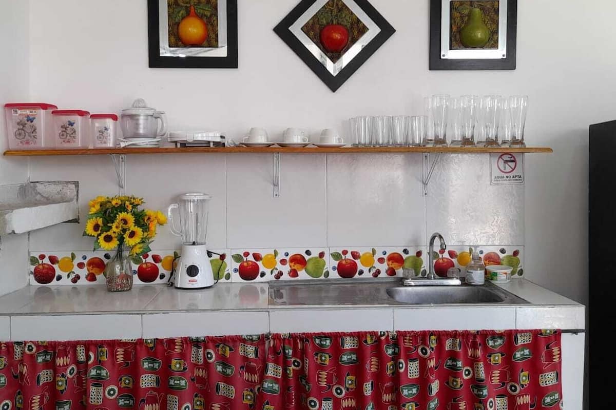 A kitchen with a white countertop, a sink, and a fruit-themed backsplash. There are two framed pictures on the wall, a blender, and a vase with sunflowers.