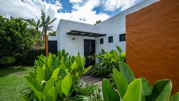 A white building with a dark door and windows, surrounded by lush green plants and a clear blue sky. - Salento Pequeño Hotel (Salento)