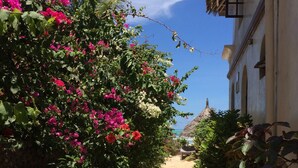 A narrow pathway flanked by lush greenery and vibrant flowers, leading to a building with a traditional thatched roof. - Seafront private villa at Jambiani Beach, Zanzibar (Jambiani)