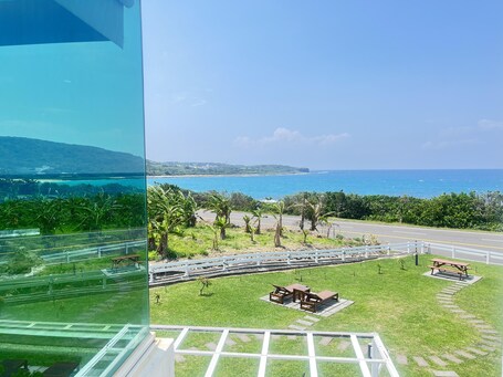 Vista desde la habitación