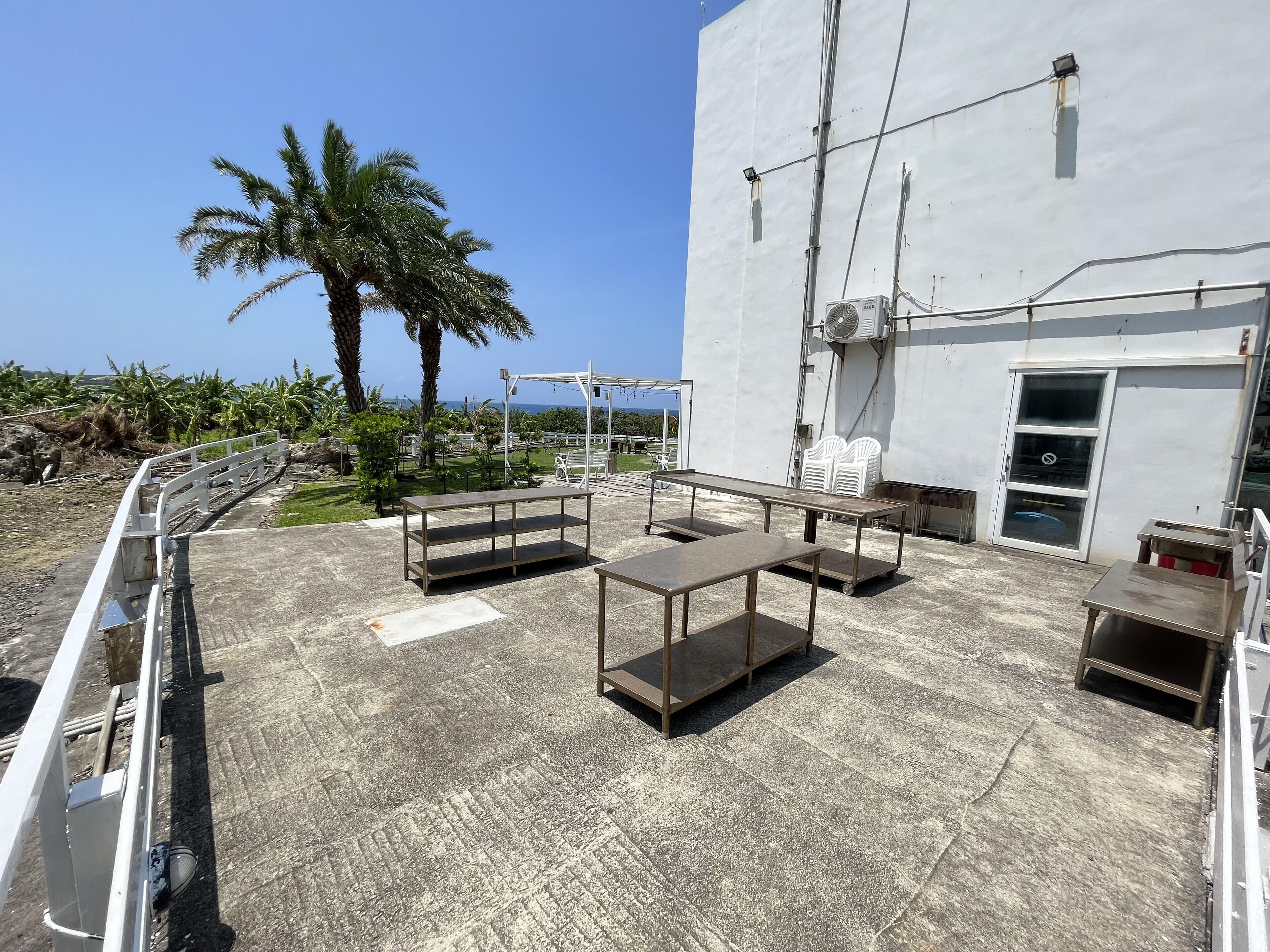 Een dakterras met metalen tafels en stoelen, een palmboom en uitzicht op zee.