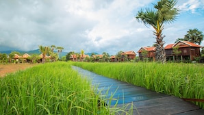 A pathway through a lush green field leading to wooden houses with red roofs. - Kampot River Residence (Kampot)