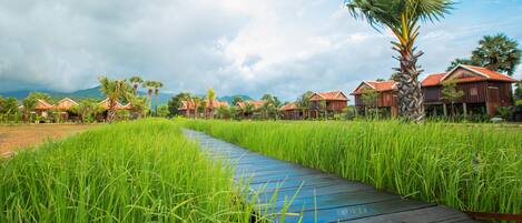 Jardines del alojamiento