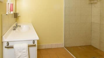 Une salle de bain équipée d’un lavabo, d’un miroir, d’un porte-serviettes et d’une zone douche.