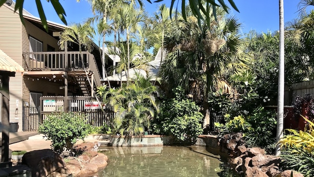 Piscina translúcida rodeada por plantas tropicais e um deck de madeira.