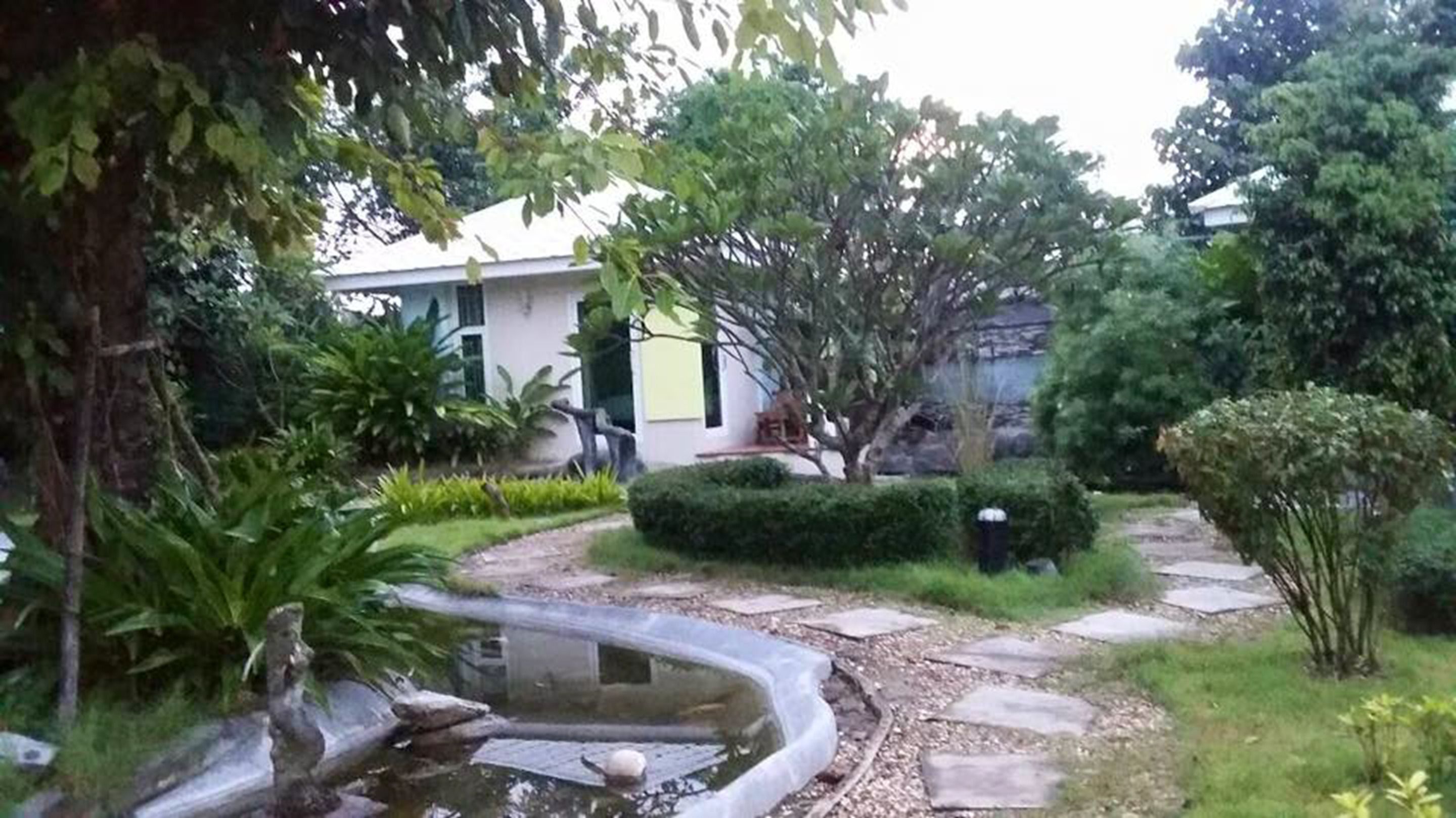 Een tuin met een vijver, een pad van stenen en een gebouw met een groene deur.