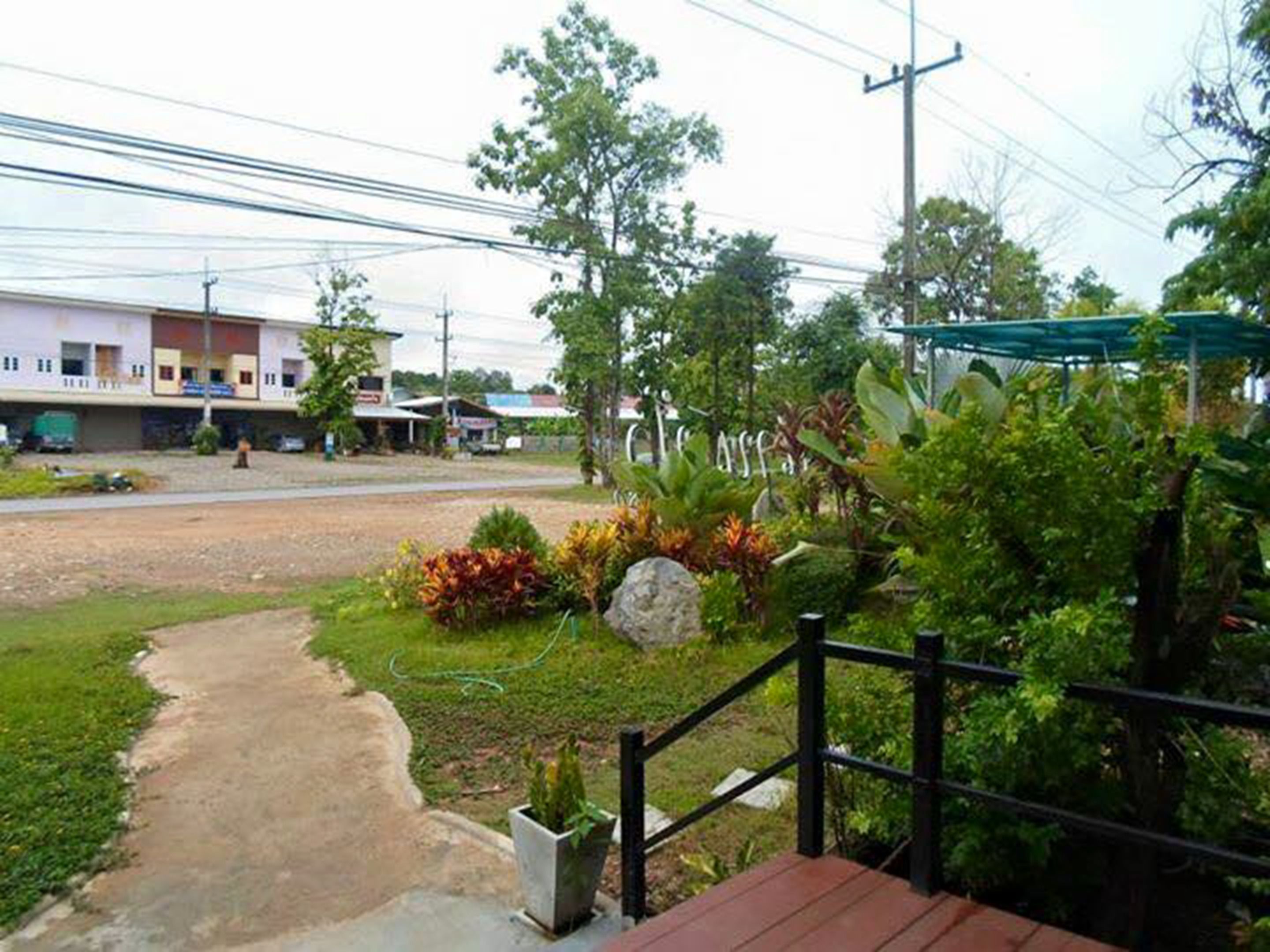 A residential area with a paved road, a grassy area with plants, a small building, and a green canopy structure.