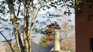 A stone pagoda with a Buddha statue, surrounded by trees and a building in the background. - Stay Resort (Fenglin)