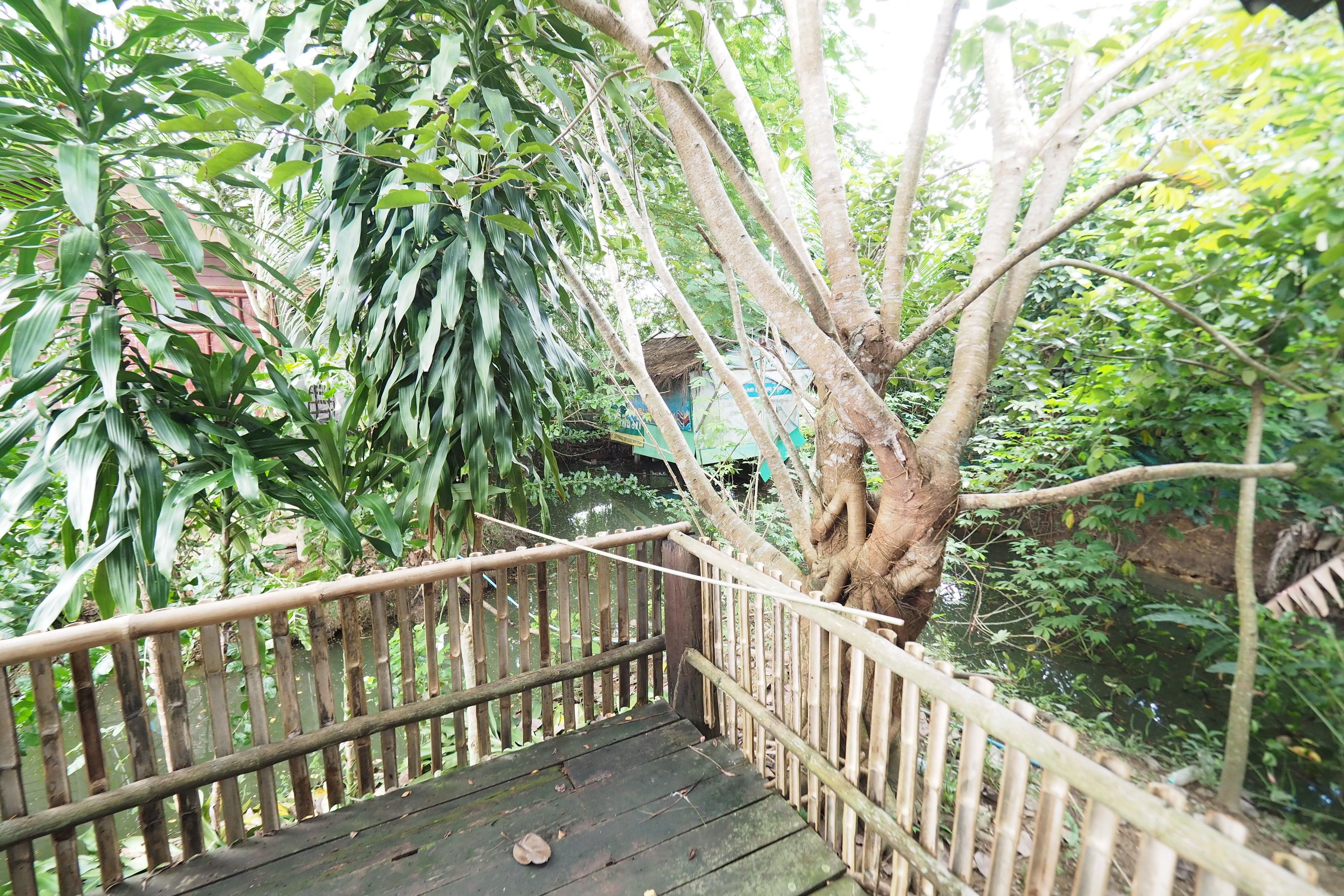 A wooden deck with a view of a tree and surrounding greenery.
