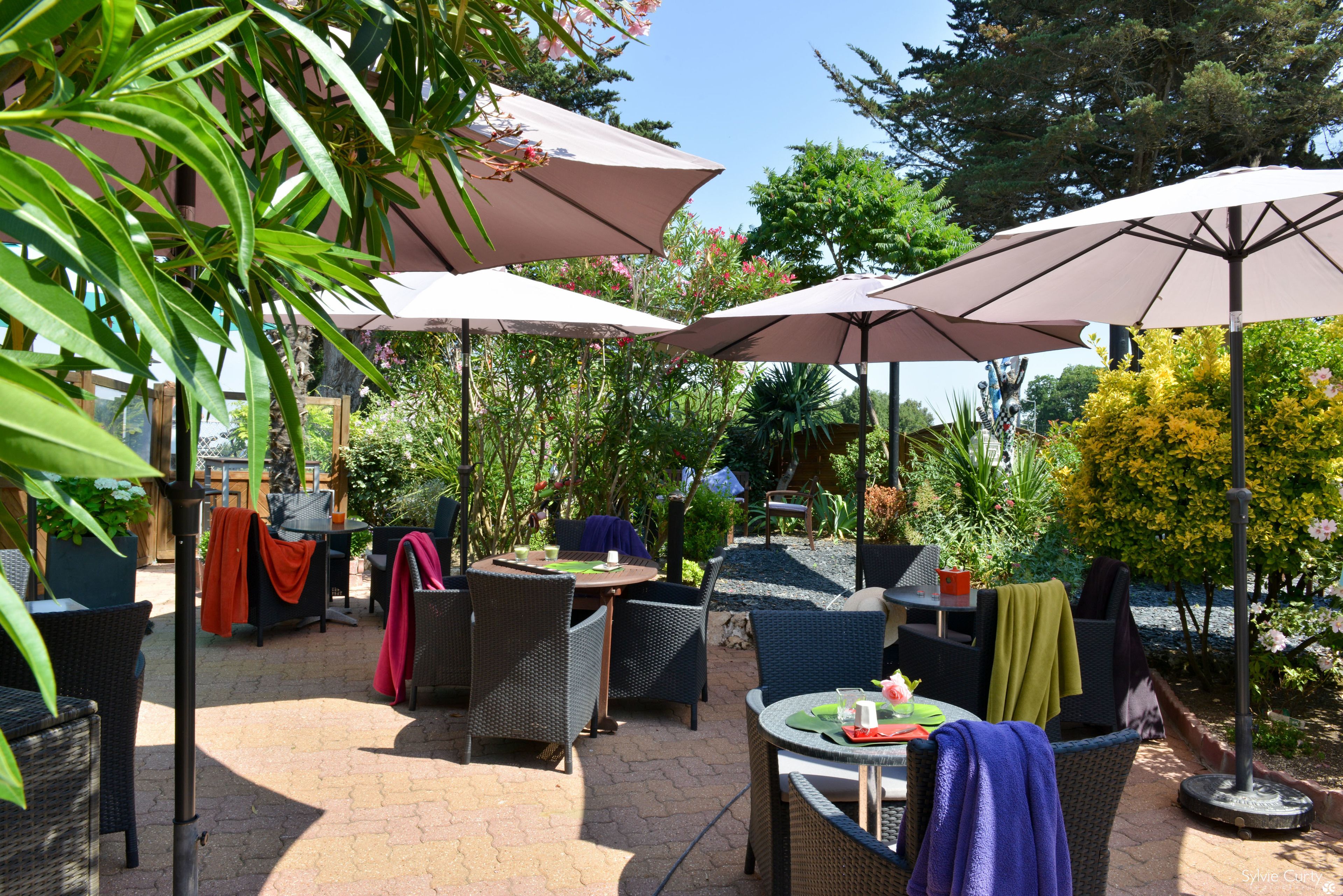 تناول الطعام بالخارج