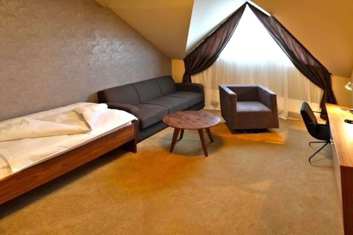 single room | in-room safe, desk, blackout curtains, iron/ironing board