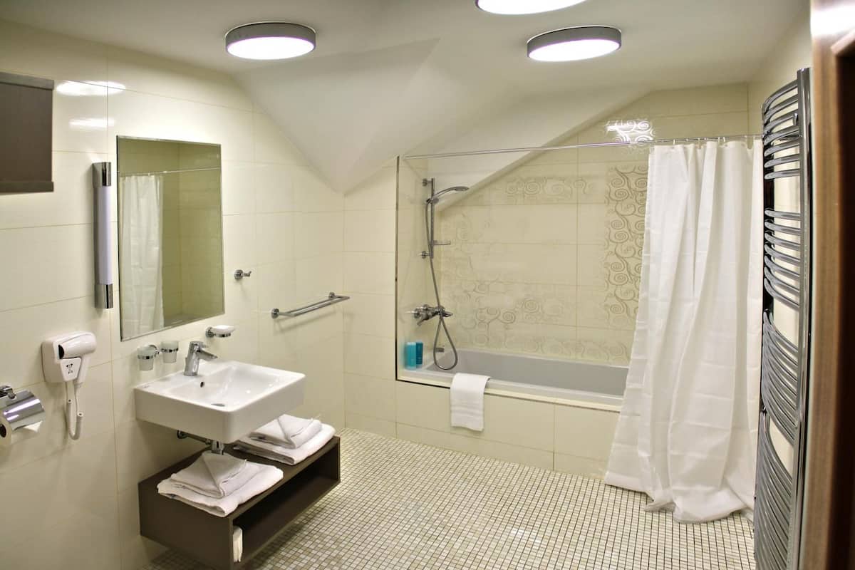 combined shower/bathtub, free toiletries, hair dryer, bathrobes