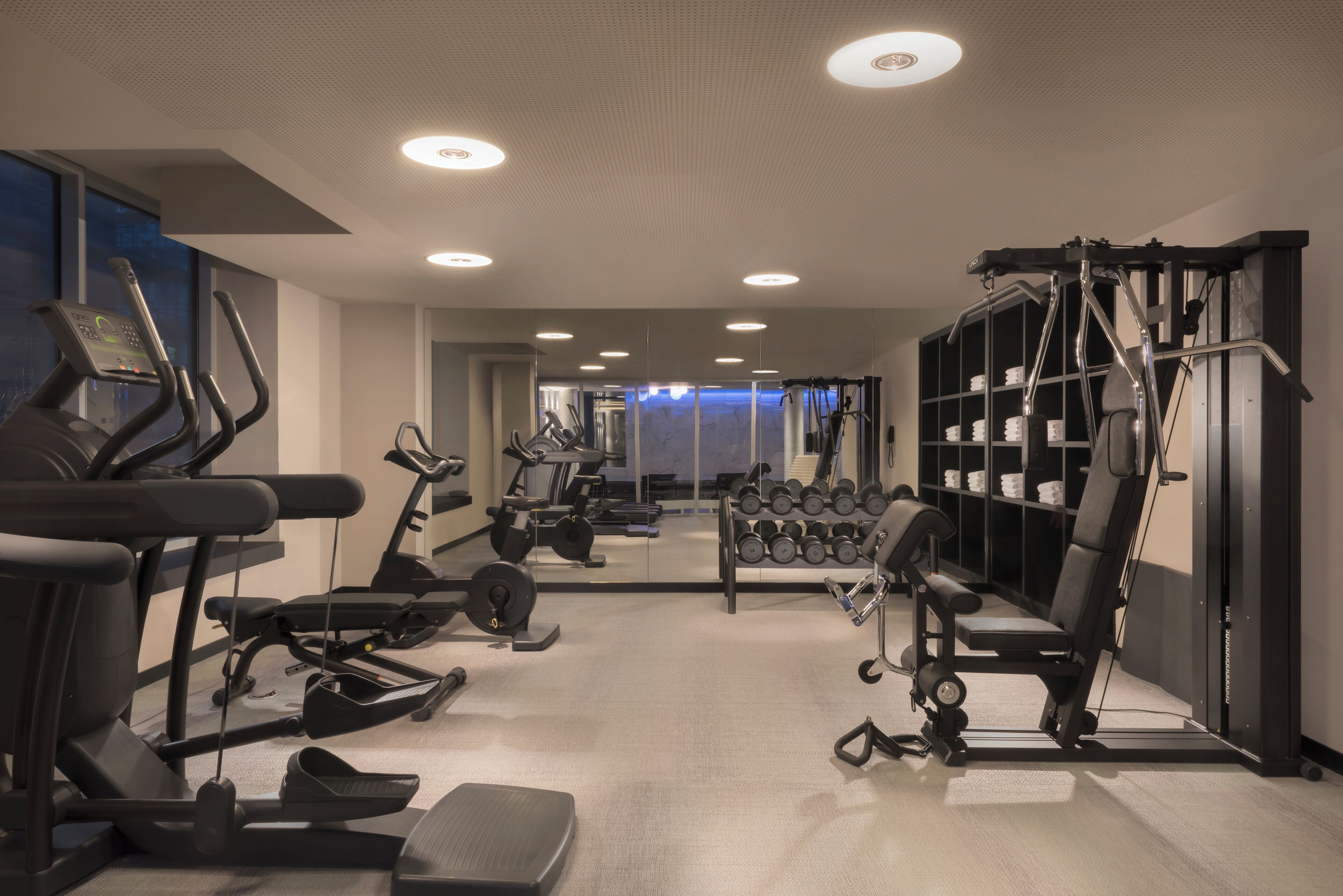 A modern gym with treadmills, dumbbells, and weight machines.