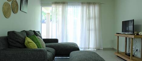 Flachbildfernseher, Pay-TV