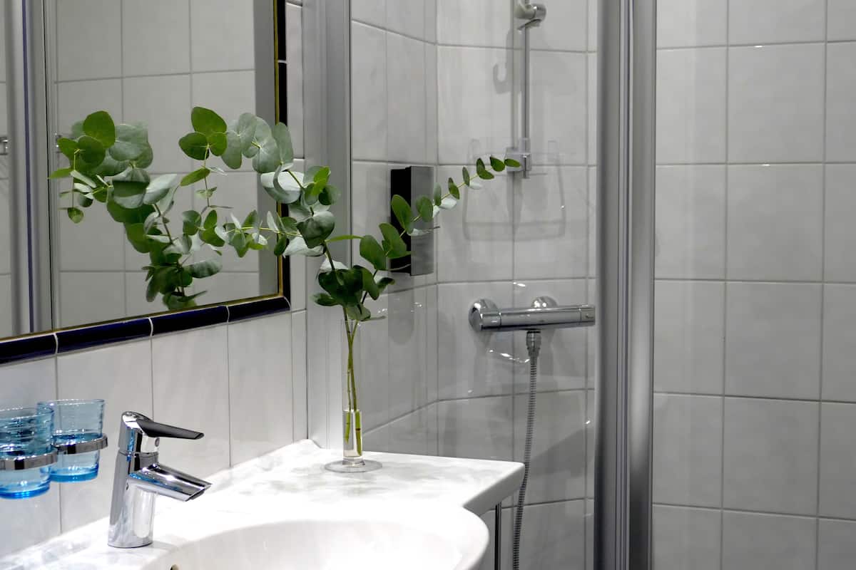 free toiletries, hair dryer, bidet, towels