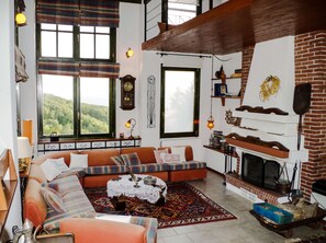 TV, fireplace, books, music library - Villa de Calma... a natural health resort in a peaceful and friendly village. (Polýdendron Village)