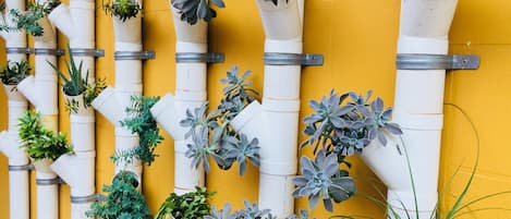 A wall with multiple vertical pipes, some containing plants.