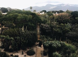 Property grounds - Andaina Hostel (Oaxaca)