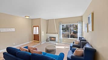 Télévision, cheminée, jeux vidéo, lecteur de DVD