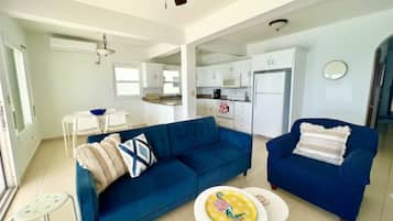 Smart TV, DVD player, books, video library
