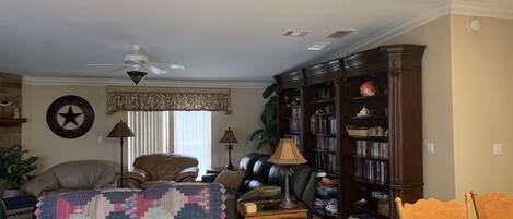 تلفزيون ذكي، مدفأة، مشغل دي في دي، كُتُب