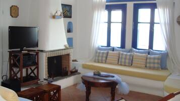 TV, fireplace, DVD player, books