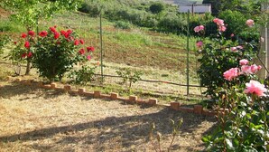 A garden with red and pink roses, a brick pathway, and a fence. - Nice place,organic garden,quiet,history of Italy,enchanting views Segesta (Calatafimi Segesta)
