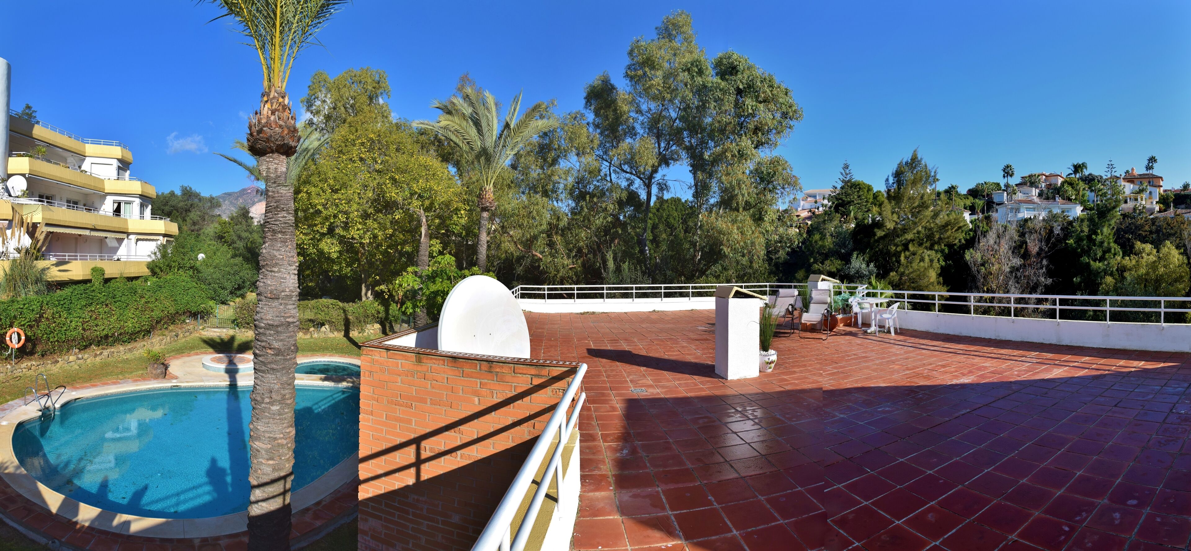 A rooftop pool area with a swimming pool, palm trees, and a view of a residential area.