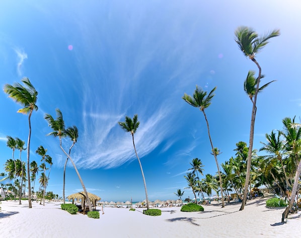 Beach umbrellas