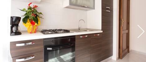 Kjøleskap, ovn, kokeplater og kaffetrakter/tekoker