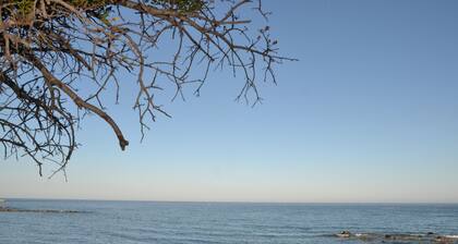 maison individuelle, entourée de verdure avec vue sur la mer