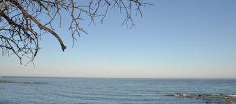 enebolig, omgitt av grønt utsikt over havet