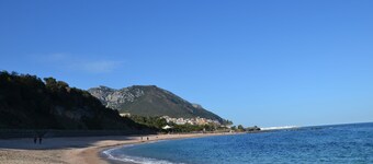 detached house, surrounded by greenery overlooking the sea
