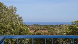 Ein Balkon mit Blick auf das Meer und die umliegende Vegetation.