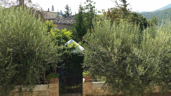 A view of a building partially obscured by dense foliage, with a stone wall and a tiled roof visible in the background. - Villa La Panoramica (late 18th-century mansion) suitable for large groups. (Cingoli)
