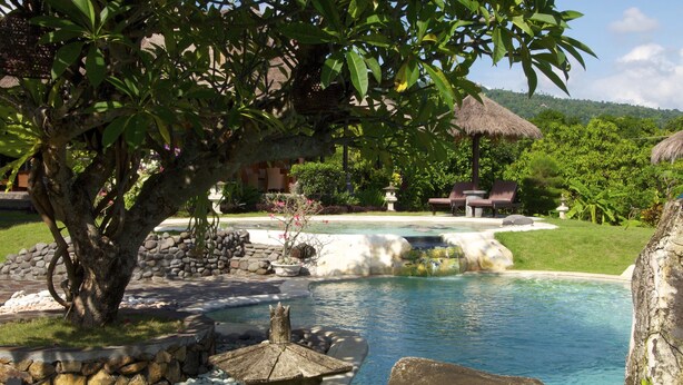 A pool surrounded by rocks and a tree, with a thatched-roof structure in the background. - Typical Balinese villa with beautifully landscaped swimming pool (Buleleng)