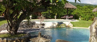 Typical Balinese villa with beautifully landscaped swimming pool