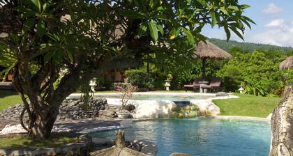 Typical Balinese villa with beautifully landscaped swimming pool