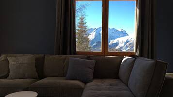 Smart TV, fireplace, DVD player, books